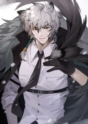 Rule 34 | 1boy, absurdres, animal ears, arknights, bird, black cape, black gloves, black necktie, cape, collared shirt, commentary request, gloves, grey hair, hair between eyes, hand up, highres, leopard ears, long hair, looking at viewer, male focus, necktie, parted lips, shirt, silverash (arknights), silverash (elite ii) (arknights), smile, solo, tail, upper body, white shirt, woodylixx, yellow eyes