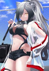 Rule 34 | 1girl, absurdres, animal ears, arknights, black scarf, black shorts, blue sky, breasts, cat ears, chain-link fence, cleavage, cloud, commentary, cowboy shot, crop top, day, fence, grey hair, hand on own hip, hand up, highres, jacket, large breasts, long hair, long sleeves, looking at viewer, midriff, navel, nekomatamago, open clothes, open jacket, ponytail, scarf, schwarz (arknights), short shorts, shorts, sky, solo, standing, stomach, thigh strap, thighs, very long hair, white jacket, yellow eyes