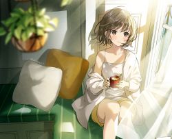 Rule 34 | 1girl, akamoku, blurry, blurry foreground, brown eyes, brown hair, camisole, collarbone, commentary request, cup, curtains, day, highres, holding, holding cup, indoors, jacket, looking at viewer, off shoulder, original, short hair, shorts, sitting, solo, twitter username, white jacket, window, yellow shorts