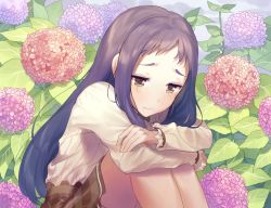 Rule 34 | 1girl, bad id, bad pixiv id, blush, brown eyes, brown skirt, character request, closed mouth, crying, crying with eyes open, feet out of frame, flower, forehead, frilled sleeves, frills, frown, hugging own legs, hydrangea, idolmaster, idolmaster cinderella girls, knees up, long hair, long sleeves, looking away, looking down, misha (hoongju), ohnuma kurumi, pink flower, plaid, plaid skirt, plant, purple flower, purple hair, shirt, sidelocks, sitting, skirt, solo, straight hair, tears, very long hair, wavy mouth, white shirt