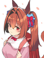 Rule 34 | 1girl, absurdres, animal ears, backpack, bag, blush, bow, brown eyes, brown hair, closed mouth, collared shirt, commentary request, daiwa scarlet (umamusume), dress shirt, fang, fang out, hair between eyes, hair bow, hair intakes, hands up, highres, holding strap, horse ears, horse girl, horse tail, long hair, looking away, petals, pink sweater, randoseru, red bow, red eyes, shirt, simple background, solo, sweater, tail, tail raised, twintails, umamusume, upper body, white background, white shirt, yuuji (yukimimi)