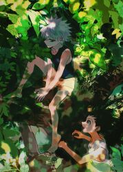 Rule 34 | 2boys, bare arms, bare shoulders, barefoot, black hair, blue eyes, brown eyes, closed mouth, commentary request, dappled sunlight, day, feet, gon freecss, highres, hunter x hunter, in tree, killua zoldyck, leaf, looking at another, male focus, multiple boys, nature, open mouth, outdoors, shenshan laolin, short hair, shorts, sitting, sitting in tree, sleeveless, smile, sunlight, tank top, toes, tree, white hair, white tank top
