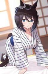Rule 34 | 1girl, all fours, animal ears, black footwear, black hair, blue eyes, blush, breasts, cleavage, collarbone, eishin flash (umamusume), highres, horse ears, horse girl, horse tail, indoors, japanese clothes, kimono, large breasts, looking at viewer, mutenka (plfgb), parted lips, short hair, solo, striped clothes, striped kimono, tail, umamusume, white kimono
