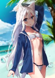 Rule 34 | 1girl, absurdres, animal ear fluff, animal ears, arm up, bikini, bikini under clothes, blue eyes, blue jacket, blue sky, blush, breasts, cat ears, cloud, collarbone, commentary request, day, highres, jacket, long hair, looking at viewer, medium breasts, navel, nuko miruku, ocean, open clothes, open jacket, original, palm tree, sky, solo, standing, striped bikini, striped clothes, swimsuit, tail, tree, wet, white bikini, white hair