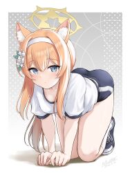 Rule 34 | 1girl, all fours, animal ear fluff, animal ears, blue archive, blue eyes, blush, closed mouth, flick (sal23), flower, gym shirt, gym shorts, gym uniform, hair between eyes, hair flower, hair ornament, hairband, halo, headband, highres, kneehighs, long hair, looking at viewer, mari (blue archive), mari (track) (blue archive), official alternate costume, orange hair, ponytail, shirt, shoes, short sleeves, shorts, sneakers, socks, solo, white flower, white hairband, white headband, white socks, yellow halo