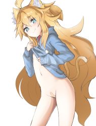 Rule 34 | 1girl, absurdres, ahoge, animal ear fluff, animal ears, bandaid, bandaid on pussy, big hair, blonde hair, blue eyes, bottomless, cat ears, cat tail, clothes lift, embarrassed, female focus, highres, hood, hoodie, hoodie lift, long hair, multiple tails, navel, niwaka potato, original, partially visible vulva, simple background, sleeves past wrists, solo, tail, white background