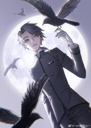Rule 34 | 1boy, aesop carl, bird, bird on hand, cowboy shot, crow, curtained hair, dutch angle, full moon, gloves, grey eyes, grey hair, grey jacket, grey pants, hand up, highres, identity v, jacket, long sleeves, looking at animal, low ponytail, male focus, medium hair, moon, night, oomonsteroo, pants, parted bangs, parted lips, pocket square, sideways glance, sleeve cuffs, solo, standing, stitched mouth, stitches, stuffing, weibo logo, weibo watermark, white gloves