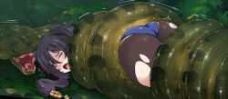 Rule 34 | 1girl, arniro111, ass, ass focus, black hair, blue leotard, brown pantyhose, capelet, closed eyes, crushing, crying, elbow gloves, from behind, from below, genshin impact, gloves, gold trim, green background, jungle, on stomach, leotard, long hair, mona (genshin impact), nature, outdoors, pantyhose, snake, solo, tears, thighlet, torn clothes, torn pantyhose, twintails
