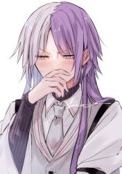 Rule 34 | 1boy, absurdres, black sweater, blush, bungou stray dogs, earrings, grey eyes, grey necktie, grey vest, hand up, highres, jewelry, long hair, long sleeves, male focus, multicolored hair, necktie, purple hair, r1kuuw, sigma (bungou stray dogs), simple background, solo, sweater, turtleneck, turtleneck sweater, two-tone hair, upper body, v-shaped eyebrows, vest, white background, white hair