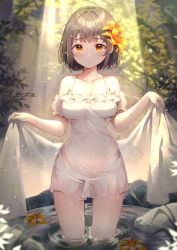 Rule 34 | 1girl, bare shoulders, blush, breasts, brown eyes, brown hair, cleavage, closed mouth, collarbone, day, detached sleeves, dress, flower, flower on liquid, hair flower, hair ornament, highres, holding, looking at viewer, medium breasts, orange flower, original, outdoors, puffy short sleeves, puffy sleeves, rangu, short hair, short sleeves, solo, standing, sunlight, transparent, wading, water, wet, white dress, white sleeves