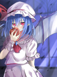 Rule 34 | 1girl, absurdres, apple, ascot, bat wings, blue hair, commentary, cowboy shot, daru (kumakumadon), food, fruit, hat, hat ribbon, highres, holding, holding food, holding fruit, indoors, looking at viewer, medium hair, mob cap, pointy ears, red apple, red ascot, red eyes, red ribbon, remilia scarlet, ribbon, shirt, short sleeves, skirt, solo, touhou, white hat, white shirt, white skirt, window, wings