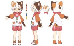 Rule 34 | 1boy, animal ears, bad id, bad twitter id, blush, brown hair, calico, cat boy, cat ears, cat tail, character sheet, child, full body, highres, indie virtual youtuber, long sleeves, male focus, multicolored hair, multiple views, nipeira, official art, orange hair, original, paw-shaped pupils, paw shoes, scarf, shorts, simple background, sleeves past wrists, symbol-shaped pupils, tail, tatamaru (vtuber), virtual youtuber, white background, white hair