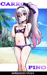Rule 34 | .live, 1girl, absurdres, alternate costume, alternate hairstyle, arms behind back, beach, breasts, carro pino, character name, cleavage, collarbone, commentary request, highres, long hair, looking at viewer, navel, ocean, outdoors, ponytail, purple eyes, purple hair, sky, small breasts, smile, solo, swimsuit, thighs, virtual youtuber, zebrablack