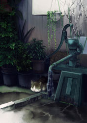 Rule 34 | animal, bonsai, cat, cloth, concrete, day, fence, green eyes, hand pump, hanging plant, highres, kusakabe (kusakabeworks), looking at viewer, moss, no humans, original, outdoors, plant, potted plant, rain, revision, scenery, tokyo (city), translation request, water pump, wooden wall