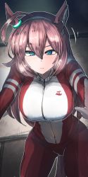 Rule 34 | 1girl, absurdres, ahoge, animal ears, blue eyes, breasts, closed mouth, hair ornament, highres, horse ears, jacket, jersey, kanikama25, large breasts, looking at viewer, mihono bourbon (umamusume), solo, steam, sweat, tail, track jacket, track suit, umamusume