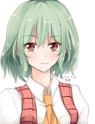 Rule 34 | 1girl, ascot, bad id, bad pixiv id, dated, green hair, kazami yuuka, looking at viewer, red eyes, shirt, signature, simple background, smile, solo, touhou, upper body, vest, wendell