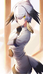 Rule 34 | 1girl, absurdres, backlighting, bad id, bad pixiv id, bird tail, black gloves, black hair, blonde hair, bodystocking, closed mouth, collared shirt, commentary, cowboy shot, fingerless gloves, from side, frown, gloves, grey shirt, grey shorts, hair between eyes, hair tie, hand on own chin, head wings, highres, kemono friends, looking at viewer, medium hair, multicolored hair, necktie, shirt, shoebill (kemono friends), short sleeves, shorts, sidelocks, silver hair, solo, standing, tail, takom, white necktie, wings, yellow eyes