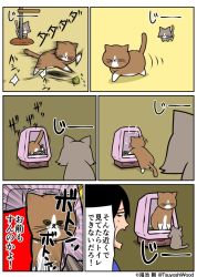 Rule 34 | alfred (kounoike tsuyoshi), artist self-insert, cat, cat tower, comic, kounoike tsuyoshi, original, ponta (kounoike tsuyoshi), simple background, staring, translation request, yarn, yarn ball