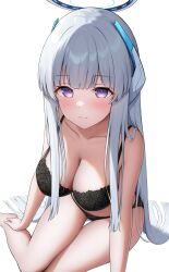 Rule 34 | 1girl, absurdres, black bra, black panties, blue archive, blunt bangs, blush, bra, breasts, cleavage, closed mouth, collarbone, commentary, grey hair, halo, highres, lace, lace panties, large breasts, long hair, looking at viewer, mechanical halo, noa (blue archive), panties, purple eyes, simple background, sitting, solo, thighs, topgear, underwear, underwear only, white background