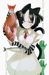Rule 34 | 1girl, animal, animal ears, arm warmers, black hair, cat ears, cat girl, cat tail, cellphone, cowboy shot, dilated pupils, dress, fish, gloves, highres, hiro 016016, holding, holding animal, holding fish, mackerel (fish), multicolored hair, neck ribbon, original, parted lips, phone, red ribbon, red snapper, ribbon, short hair, sleeveless, sleeveless dress, smartphone, solo, standing, streaked hair, striped arm warmers, tail, tail raised, two side up, unworn gloves, white background, white dress, white eyes