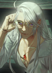 Rule 34 | 1boy, collarbone, glasses, hand up, highres, jewelry, juju leelin, long hair, looking at viewer, male focus, necklace, panmijin99, pectorals, pixiv fantasia, pixiv fantasia scepter of zeraldia, purple eyes, shirt, solo, upper body, white hair, white shirt