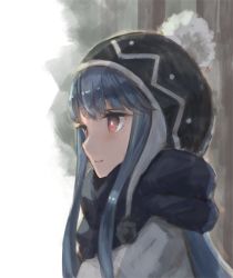 Rule 34 | 1girl, beanie, blue hair, commentary request, gale kawaii, hair down, hat, long hair, looking afar, pom pom (clothes), red eyes, scarf, shima rin, sidelocks, smile, solo, upper body, winter clothes, yurucamp