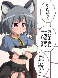 Rule 34 | 1girl, :&lt;, animal ears, capelet, clothes lift, female focus, grey hair, groin, mouse ears, mouse tail, nazrin, no panties, red eyes, shirt lift, short hair, sigh, skirt, skirt lift, solo, super masara, tail, touhou, translated