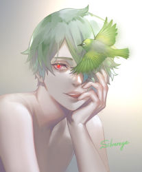 Rule 34 | 1boy, akakokko (niro azarashi), alternate hair color, animal, bird, birdmen, brown background, character name, flying, green theme, hair over one eye, hand on own cheek, hand on own face, head rest, highres, light smile, looking afar, name connection, nude, one eye covered, parted lips, portrait, red eyes, short hair, silvereye collins (birdmen), solo, teeth, tongue, tongue out
