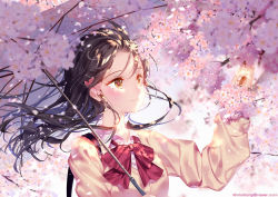 Rule 34 | 1girl, black hair, blurry, blurry foreground, blush, bow, bowtie, branch, brown cardigan, brown eyes, buttons, cardigan, cherry blossoms, closed mouth, collared shirt, depth of field, floating hair, flower, hair flower, hair ornament, hand up, holding, holding flower, holding umbrella, kiwikong, long hair, long sleeves, looking up, naver username, original, pink flower, red bow, red bowtie, school uniform, shirt, sidelocks, smile, solo, umbrella, upper body, white shirt