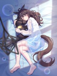 Rule 34 | 1girl, ahoge, animal ears, barefoot, bed sheet, blurry, blurry foreground, blush, brown hair, closed eyes, daring tact (umamusume), dress, highres, horse ears, horse girl, horse tail, kashmir 0808, long hair, long sleeves, lying, on side, parted lips, pillow, see-through, see-through dress, sleeping, solo, stuffed animal, stuffed horse, stuffed toy, tail, toes, umamusume