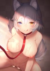 Rule 34 | 1girl, :q, akuma (st.takuma), alternate breast size, animal collar, animal ears, assertive female, bdsm, blue eyes, breasts, censored, collar, collarbone, colored inner hair, completely nude, cowgirl position, dog (mixed breed) (kemono friends), dog ears, dog girl, dog tail, dutch angle, erection, furrowed brow, girl on top, grey hair, groin, hair between eyes, hand on own chest, hand up, heterochromia, highres, kemono friends, large breasts, leaning forward, leash, licking lips, medium hair, mosaic censoring, multicolored hair, navel, nipples, nude, orange eyes, penis, pov, red collar, seductive smile, sex, slave, smile, solo focus, spread legs, stomach, straddling, sweat, tail, tongue, tongue out, two-tone hair, vaginal, viewer holding leash, white hair
