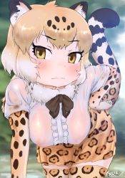 Rule 34 | 1girl, animal ears, animal print, black bow, black bowtie, black hair, blush, bow, bowtie, breasts, brown eyes, closed mouth, commentary request, covered erect nipples, cowboy shot, day, elbow gloves, eyelashes, fur collar, furrowed brow, gloves, hand on own hip, hanging breasts, high-waist skirt, highres, jaguar (kemono friends), jaguar ears, jaguar print, jaguar tail, kemono friends, leaning forward, light smile, long hair, masuyama ryou, medium breasts, multicolored hair, nipples, no bra, outdoors, print skirt, print thighhighs, see-through, shirt, short hair, short sleeves, skirt, solo, tail, thighhighs, water, wavy mouth, wet, wet clothes, wet hair, wet shirt, white hair, white shirt, zettai ryouiki
