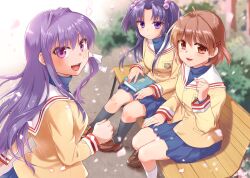Rule 34 | 3girls, :d, absurdres, antenna hair, bench, black socks, blue hair, blue skirt, blush, book, breasts, brown eyes, brown footwear, brown hair, cherry blossoms, clannad, closed mouth, commentary request, expressionless, falling petals, floating hair, fujibayashi kyou, furukawa nagisa, hair bobbles, hair intakes, hair ornament, hair ribbon, hairclip, hand up, highres, hikarizaka private high school uniform, holding, holding book, ichinose kotomi, jacket, kneehighs, loafers, long hair, long sleeves, looking at viewer, medium breasts, medium hair, miniskirt, misaki juri, multiple girls, on bench, open mouth, outdoors, parted bangs, petals, pleated skirt, purple eyes, purple hair, ribbon, sailor collar, school uniform, second-party source, shoes, short hair, sidelocks, sitting, skirt, smile, socks, two side up, very long hair, white sailor collar, yellow jacket