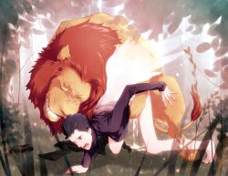 Rule 34 | barefoot, bestiality, black hair, cum, el shaddai, fangs, feet, highres, interspecies, lion, lucifiel, male focus, nature, open mouth, rape, red eyes, wince, wings, yaoi