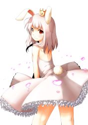 Rule 34 | 1girl, ac japan, aisatsu no mahou, animal ears, arigato usagi, back, bare shoulders, crown, dress, from behind, highres, long hair, looking back, personification, rabbit ears, rabbit tail, red eyes, shima (sh1mamu), simple background, smile, solo, tail
