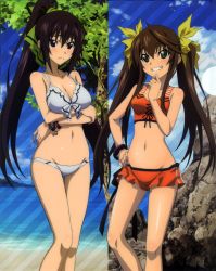Rule 34 | 10s, 2girls, absurdres, bare shoulders, beach, bikini, blue sky, blush, bracelet, breast hold, breasts, brown hair, cleavage, day, green eyes, grin, groin, hand on own hip, hashimoto takayoshi, highres, huang lingyin, infinite stratos, jewelry, knees, long hair, medium breasts, multiple girls, navel, official art, outdoors, ponytail, purple eyes, purple hair, scan, shinonono houki, sky, small breasts, smile, split ponytail, swimsuit, tankini, thigh gap, thighs, twintails, very long hair, white bikini, wristband