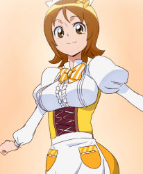 Rule 34 | 10s, 1girl, bow, bowtie, breasts, brown eyes, brown hair, corset, happinesscharge precure!, looking at viewer, oimanji, oomori yuuko, precure, smile, solo