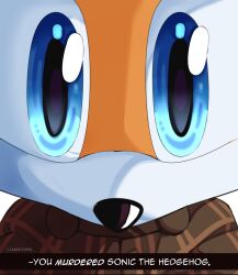 Rule 34 | 1boy, 2angelisimo, 4th wall break, animal nose, artist name, blue eyes, coat, english text, fox, furry, furry male, highres, looking at viewer, meme, plaid, plaid coat, sega, snout, solo, sonic (series), staring into your soul, tails (sonic), the murder of sonic the hedgehog, twitter username, white fur, wide-eyed, yellow fur