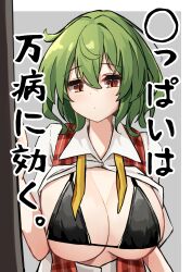 Rule 34 | 1girl, absurdres, ascot, black bra, bra, breasts, breasts out, collared shirt, green hair, highres, hira-san, kazami yuuka, large breasts, long sleeves, medium bangs, open clothes, open vest, plaid, plaid vest, red eyes, red vest, shirt, short hair, solo, touhou, translation request, triangle, underwear, undone ascot, vest, white shirt, yellow ascot