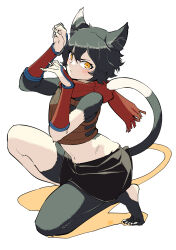 Rule 34 | 1girl, animal ears, armor, black fur, black hair, body fur, cat ears, cat girl, cat tail, dungeon meshi, full body, highres, izutsumi, leather armor, looking at viewer, midriff, mismatched animal ear colors, navel, on one knee, paw pose, red scarf, scarf, solo, tail, white background, yanai nobuhiko, yellow eyes