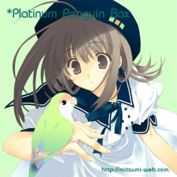Rule 34 | 1girl, ahoge, bird, blue sailor collar, brown eyes, brown hair, hat, mitsumi misato, original, parrot, sailor collar, solo