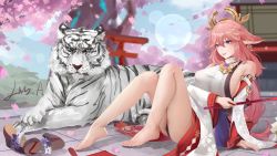 Rule 34 | 1girl, barefoot, breasts, cherry blossoms, feet, genshin impact, highres, large breasts, linjianga lin, long hair, looking at viewer, panties, pantyshot, parted lips, pink hair, purple eyes, shoes, unworn shoes, tiger, toes, underwear, white tiger, yae miko