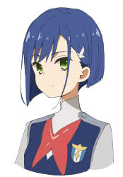 Rule 34 | 1girl, blue hair, closed mouth, cropped torso, darling in the franxx, green eyes, grey jacket, hair ornament, hairclip, ichigo (darling in the franxx), jacket, looking at viewer, meito (maze), short hair, simple background, solo, upper body, white background