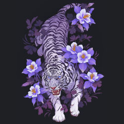 Rule 34 | angry, animal, animal focus, blue eyes, dark background, fangs, flower, full body, looking at viewer, no humans, norapotwora, open mouth, original, purple flower, tiger, top-down bottom-up, white tiger