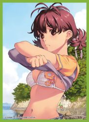 Rule 34 | 1girl, artist name, bikini, border, brown eyes, brown hair, clothes lift, copyright notice, crossed arms, day, expressionless, green border, lifted by self, navel, non-web source, original, outdoors, shirt lift, short sleeves, solo, swimsuit, tanaka kunihiko, twintails