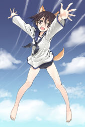 Rule 34 | 00s, 1girl, :d, animal ears, bare legs, barefoot, black neckerchief, black one-piece swimsuit, blue sky, blush, brown eyes, brown hair, cloud, day, dog ears, dog tail, feet, floating, full body, long sleeves, looking at viewer, miyafuji yoshika, neckerchief, no pants, one-piece swimsuit, open mouth, outdoors, outstretched arms, satou atsuki, school swimsuit, short hair, sky, smile, solo, spread fingers, strike witches, swimsuit, swimsuit under clothes, tail, tareme, world witches series
