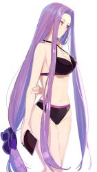 Rule 34 | 1girl, absurdly long hair, arm behind back, arm grab, bikini, black bikini, breasts, chip le cree, cleavage, fate/stay night, fate (series), from side, highres, large breasts, long hair, medusa (fate), medusa (rider) (fate), navel, official alternate costume, ponytail, purple eyes, purple hair, sidelocks, smile, solo, square pupils, swimsuit, thighs, very long hair
