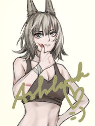 Rule 34 | 1girl, absurdres, animal ear fluff, animal ears, arknights, ashlock (arknights), bandages, bare arms, bare shoulders, blood, blood on face, breasts, cleavage, commentary, crop top, english commentary, grey eyes, grey hair, hair between eyes, hand on own hip, highres, medium breasts, midriff, navel, nitric acid (nitrate2002), simple background, solo, sports bra, stomach, upper body