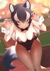 Rule 34 | 1girl, akuma (st.takuma), alternate costume, animal ear fluff, animal ears, black bow, black bowtie, black hair, black leotard, black pantyhose, blue eyes, blurry, blurry background, bow, bowtie, breasts, claw pose, commentary, frown, grey wolf (kemono friends), heterochromia, indoors, kemono friends, large breasts, leaning forward, leotard, looking at viewer, multicolored hair, pantyhose, playboy bunny, solo, tail, thigh gap, traditional bowtie, two-tone hair, v-shaped eyebrows, white hair, wolf ears, wolf girl, wolf tail, wrist cuffs, yellow eyes