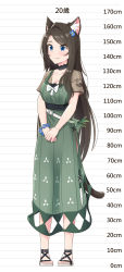 Rule 34 | 1girl, absurdres, aina (mao lian), animal ear fluff, animal ears, black choker, blue eyes, blush, breasts, brown hair, cat ears, cat tail, character age, choker, cleavage, closed mouth, commentary, dress, green dress, height chart, highres, large breasts, long dress, long hair, mao lian (nekokao), original, sandals, short sleeves, smile, solo, standing, tail, translated, wristband